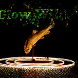 Mike D - Glow Wild, Christmas Illuminations