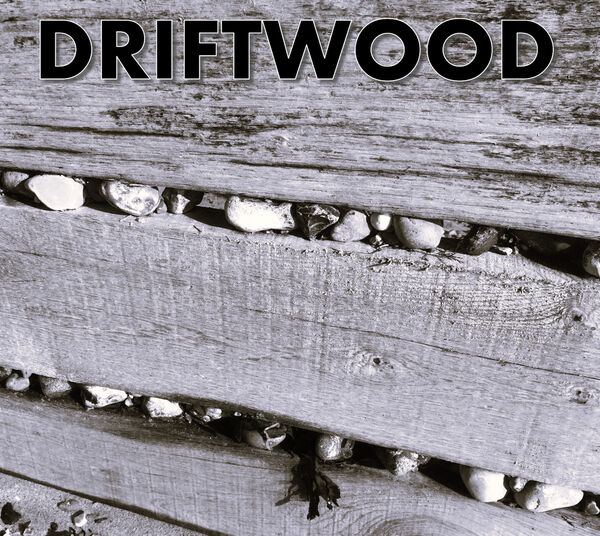 Carolyn - Driftwood