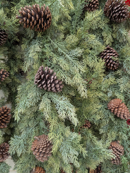 Norman - Just in time 2