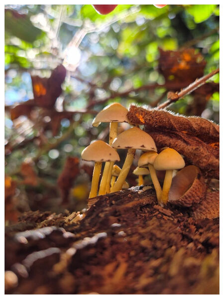 Christine - From Beneath