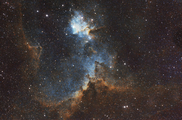 Rod - North America Nebula