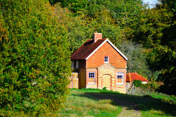 Eden - Nestled in the trees