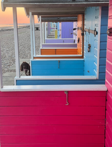 Vanessa - Beach Huts