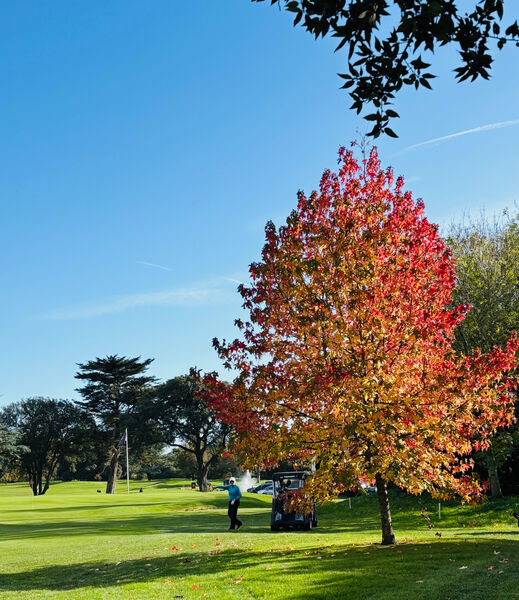 Jill - Beside the 9th Fairway