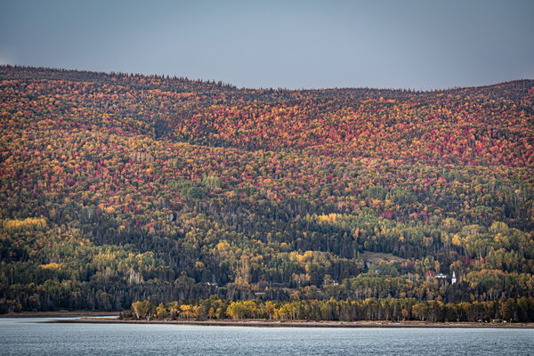 Larry - Canadian Autumn Colour Sandwich