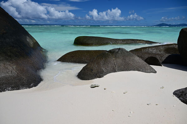 Raj - Nature's Rockery