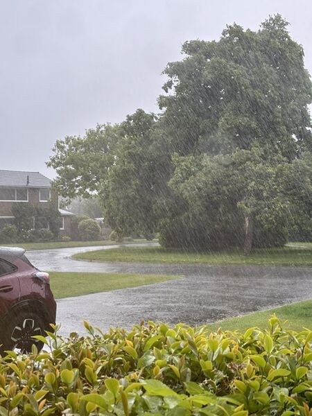 Jill - Rain in Angmering