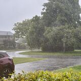 Jill - Rain in Angmering