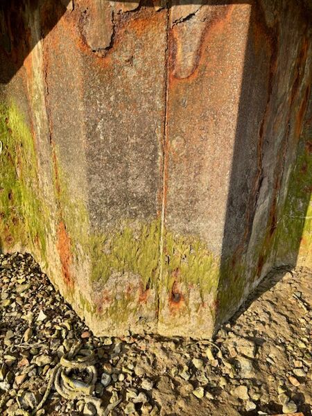 Richard - Rusty Pillar at Littlehampton
