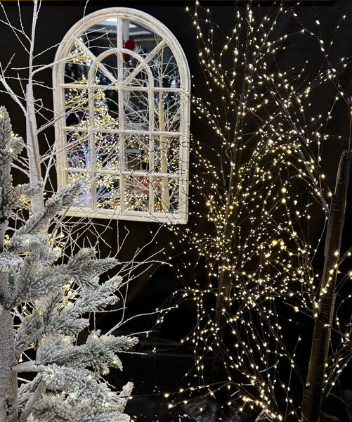 Gay - Christmas Lights