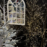 Gay - Christmas Lights