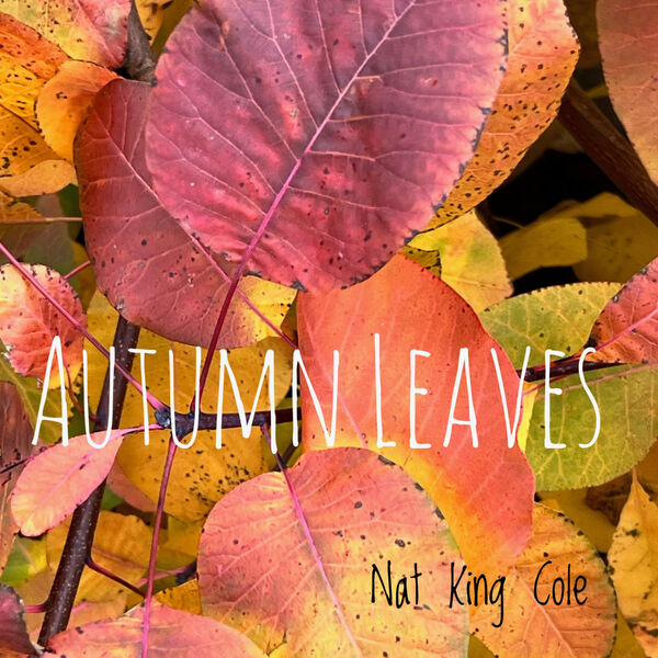 Norman - Autumn Leaves