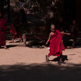 8 -  Playing in the shadows