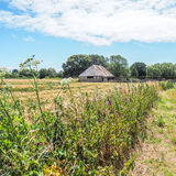 Barn in fields at back of church
