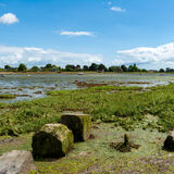 Bosham Quay