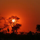 Botswana