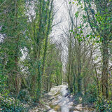 Brian Grimwood - Flooded Cow Lane