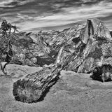 Brian Grimwood - View from Glacier Point