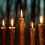 Candles in the Forest