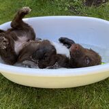 Vanessa Trownson - Cooling Off