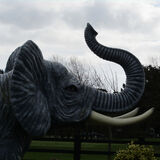 Ellie Enking - A Safari in Angmering 1