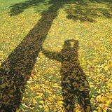 Ellie Enking - Mutual Support