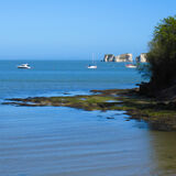 Gay Hadley - Old Harry Rock, Dorset