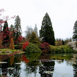Gay Hadley - Sheffield Park