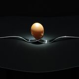 Guy Partington - Egg & Forks