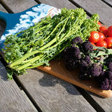 Guy Partington - FreshVeg