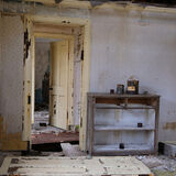 Guy Partington - Ready for Decoration