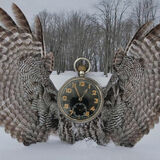 Guy Partington - Time Flies