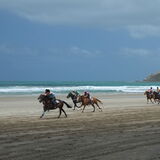 Guy Partington - Tolaga Bay Boxing Day