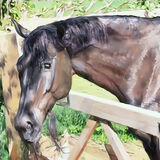 Horse oil painting