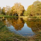 Jill Howell - Autumn Game on Crowborough Golf Course