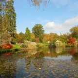 Jill Howell - Autumn at Wakehurst Place