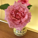 Jill Howell - I Grew this Beautifully Scented Rose