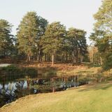 Jill Howell - On West Sussex Golf Course, Pulborough