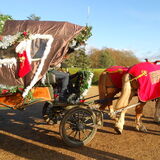 Jill Howell - Winter Cart Trips at National Trust 2014