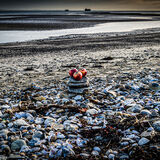 Larry Darby - Appley Beach, Isle of Wight