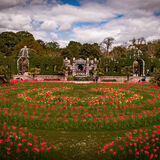 Larry Darby - Tulips at Arundel