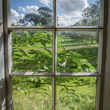 Larry Darby - View to the Fields, Kingston Lacy - 2nd (8 votes)