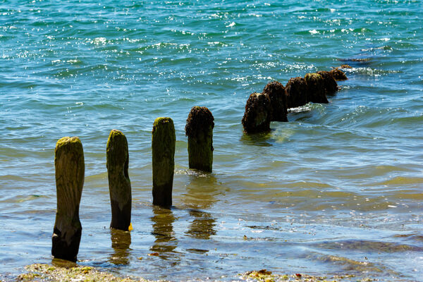 Littlehampton Groyne