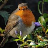 Mark Stoner - Taking a Rest - Joint 3rd (7 votes)