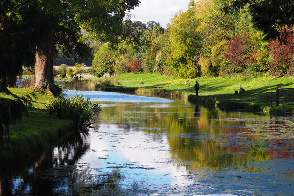 Meon Springs