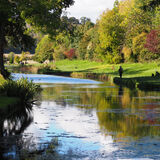 Meon Springs