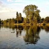 Mike Hubbard - Summer Evening on Earlswood Lakes