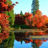Mike Hubbard - Autumn Reflections
