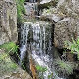 Mike Hubbard - Wisley Waterfall
