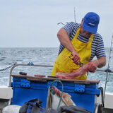 Mike Hubbard - Skinning a Fish